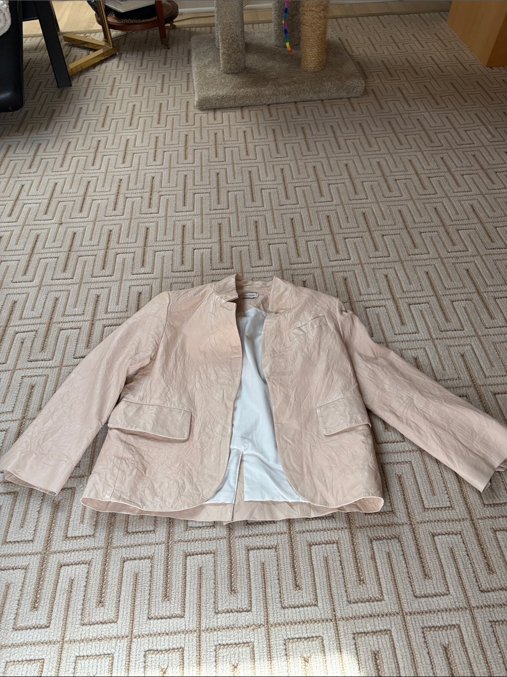 Zadig & Voltaire Pale Blush Leather Jacket